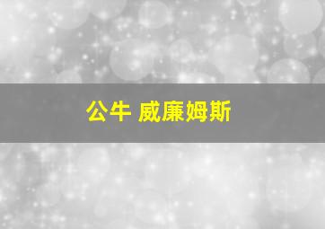 公牛 威廉姆斯